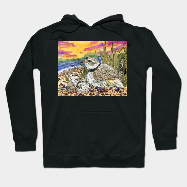 Piping Plovers and Chicks Hoodie by 10000birds